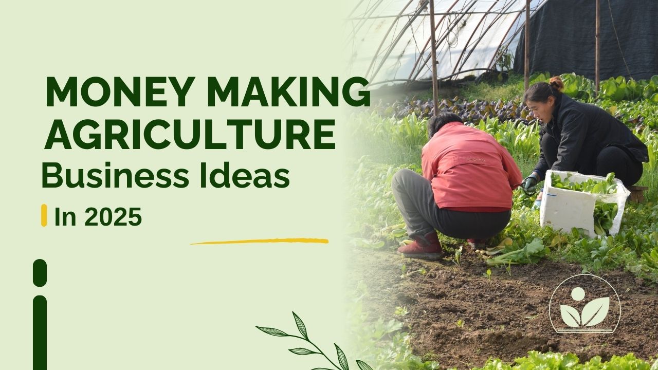 Money Making Agriculture Business Ideas in 2025